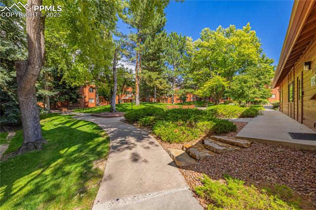 2430 Palmer Park Boulevard 305
