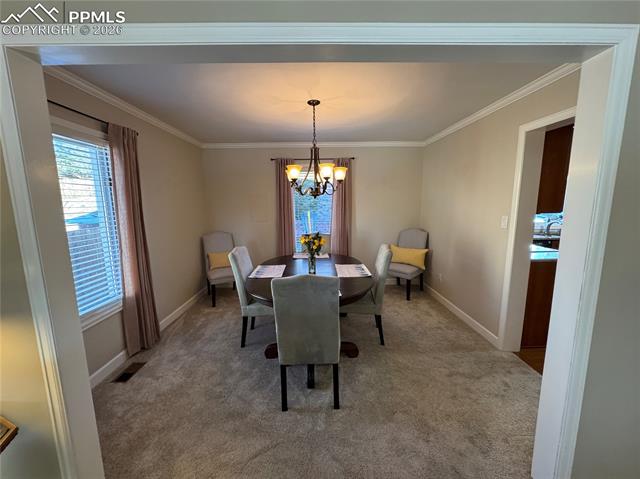 3019 Oro Blanco Drive