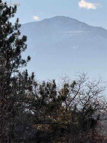 3019 Oro Blanco Drive