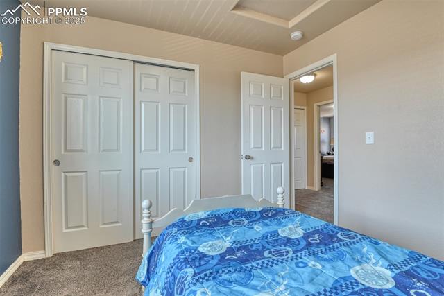 3777 Swainson Drive