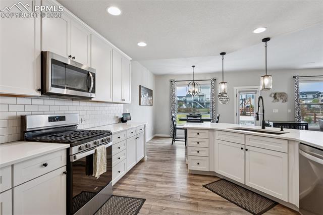 9887 Antelope Ravine Drive