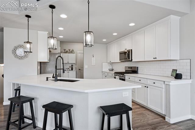 9887 Antelope Ravine Drive