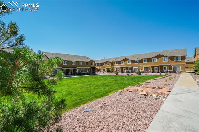 7547 Black Spruce Heights