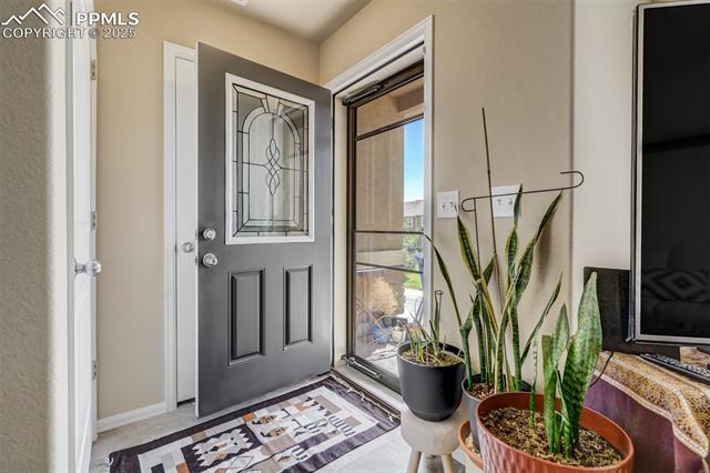 7547 Black Spruce Heights