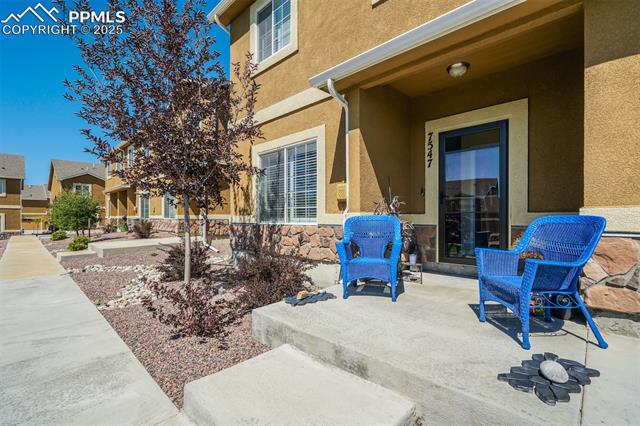7547 Black Spruce Heights