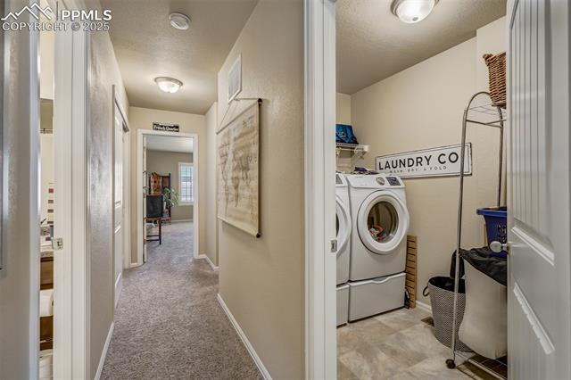 7547 Black Spruce Heights