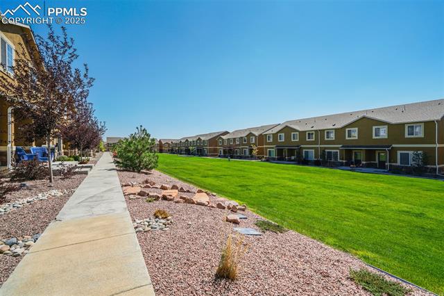 7547 Black Spruce Heights