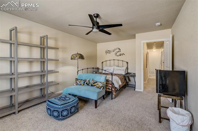 7547 Black Spruce Heights