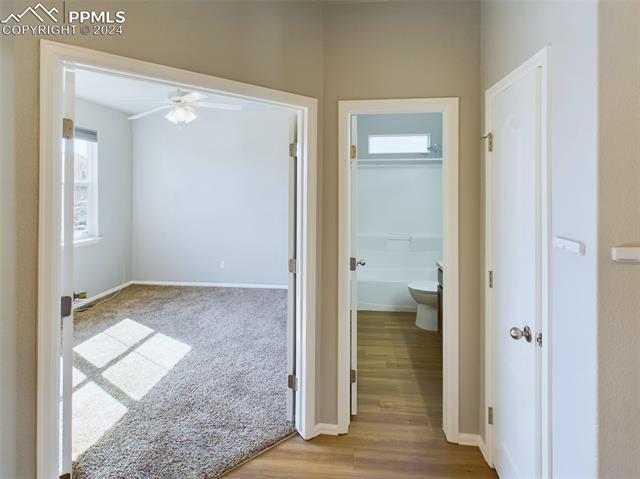 9916 Everglades Drive