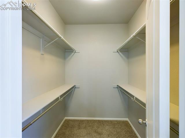 9916 Everglades Drive