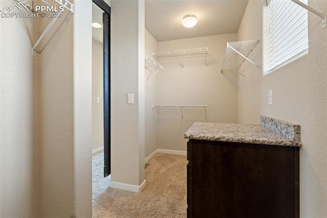 7279 Peachleaf Drive