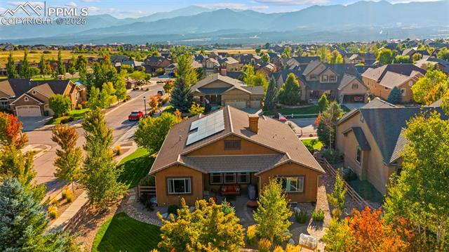 13296 Cedarville Way