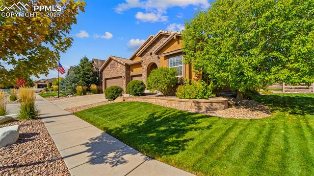 13296 Cedarville Way