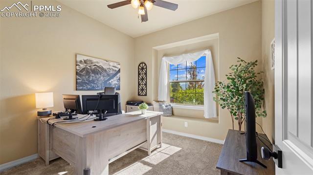 13296 Cedarville Way