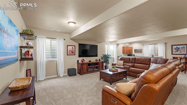 13296 Cedarville Way