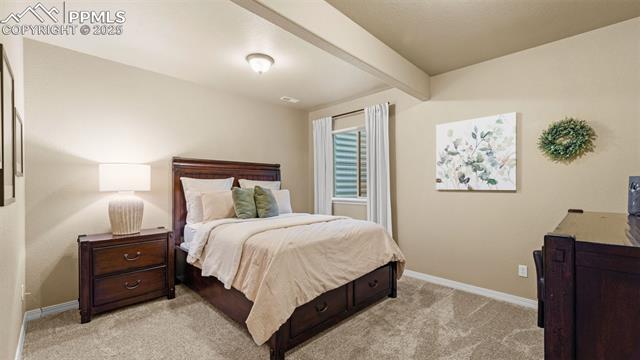 13296 Cedarville Way
