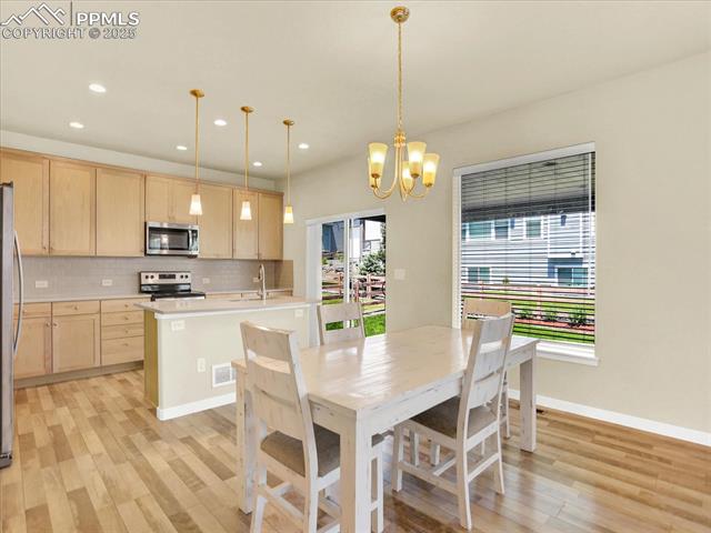 10247 Finn Drive