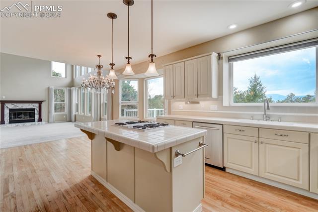 17720 Martingale Road