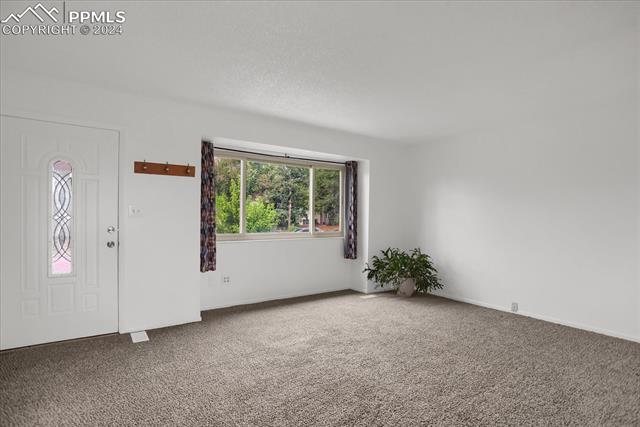 4041 Sandberg Drive