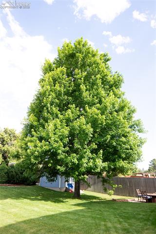 8261 Cooper River Drive