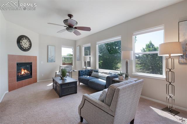 14687 Air Garden Lane