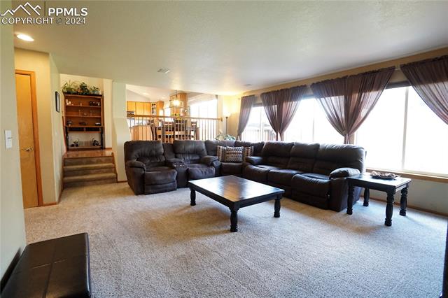 6690 Barrel Race Drive