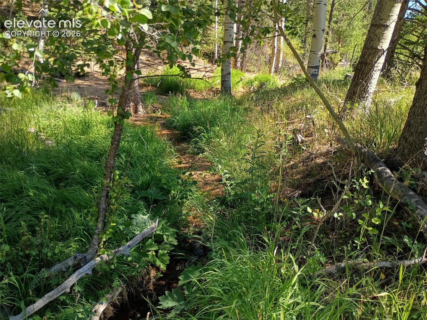146 Waterfall Loop