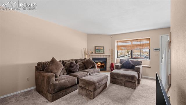 4773 Live Oak Drive
