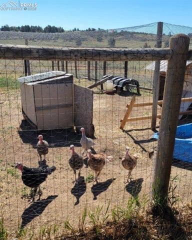 5910 McCart Ranch Circle