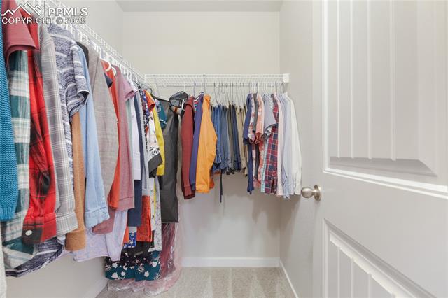 4082 Warthog Heights