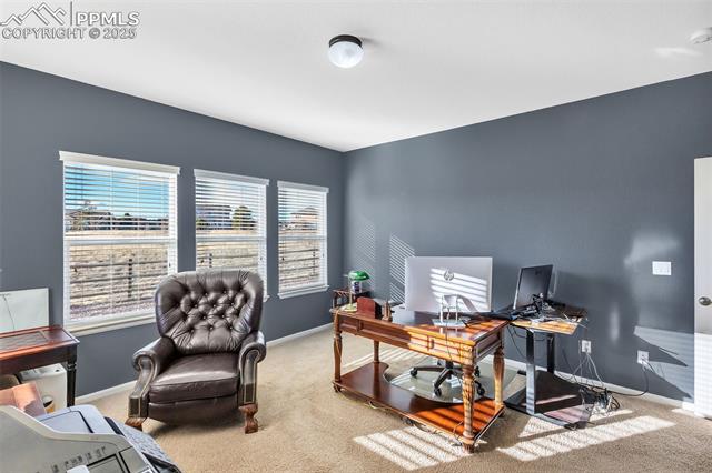 10872 White Sands Court