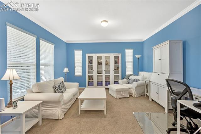 10872 White Sands Court