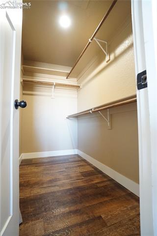 1392 N Moonbeam Drive