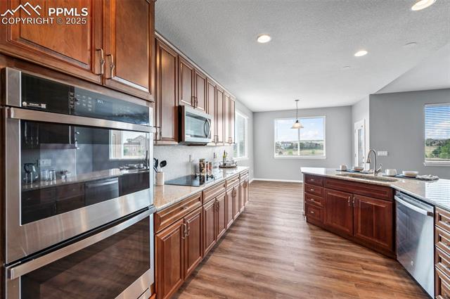 10532 Capital Peak Way