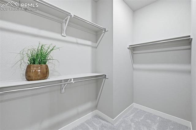 6185 Armdale Heights