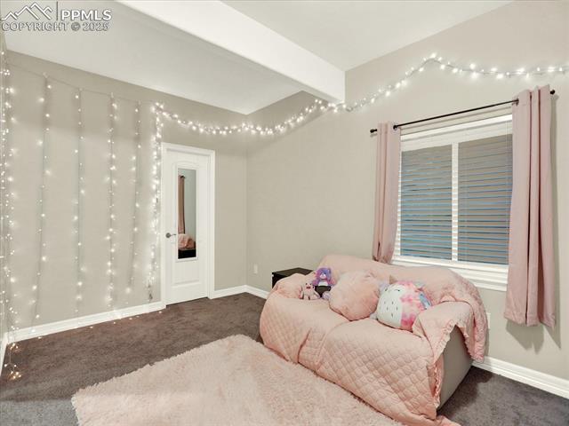 12646 Windingwalk Drive