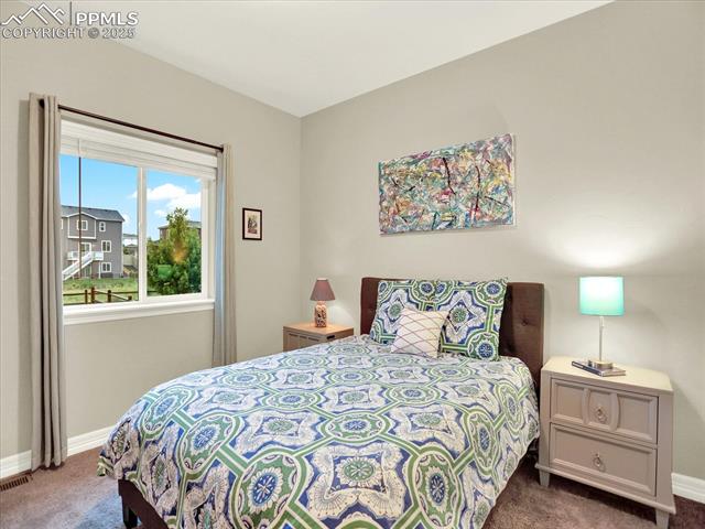 12646 Windingwalk Drive