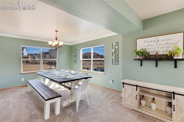 10813 Torreys Peak Way