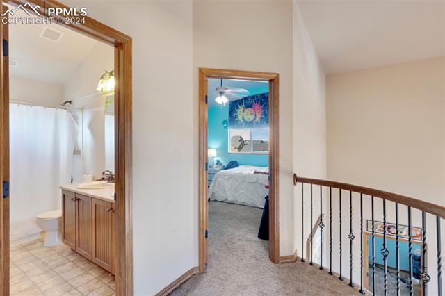 10813 Torreys Peak Way