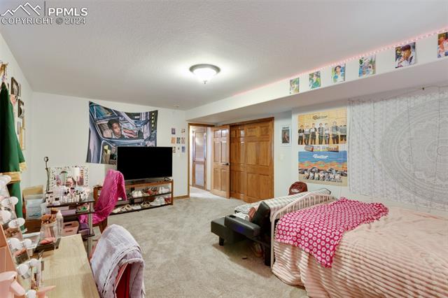 10813 Torreys Peak Way