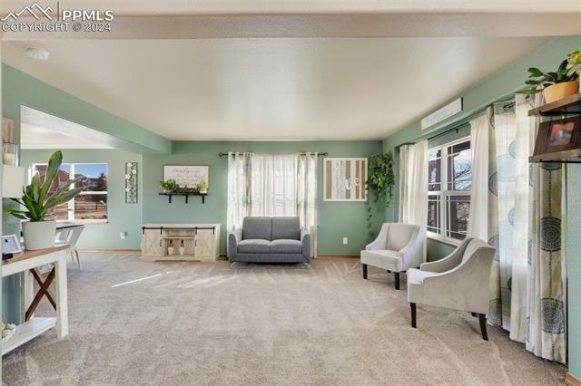 10813 Torreys Peak Way