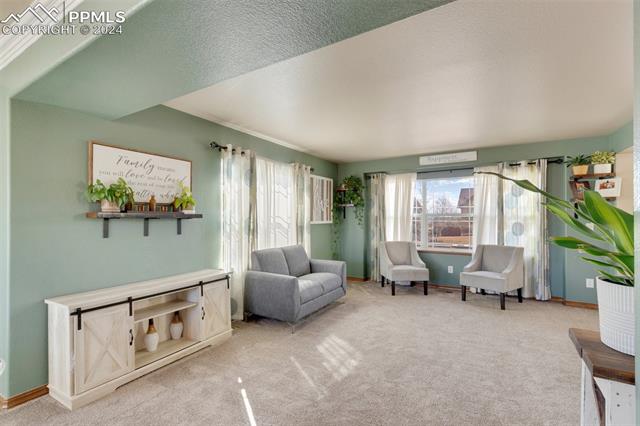 10813 Torreys Peak Way