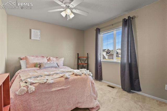 6532 La Plata Peak Drive