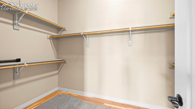 9619 Carriage Creek Point