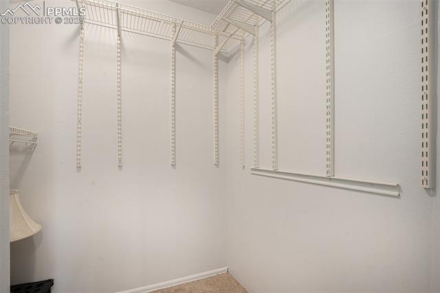 2044 Bristlecone Drive