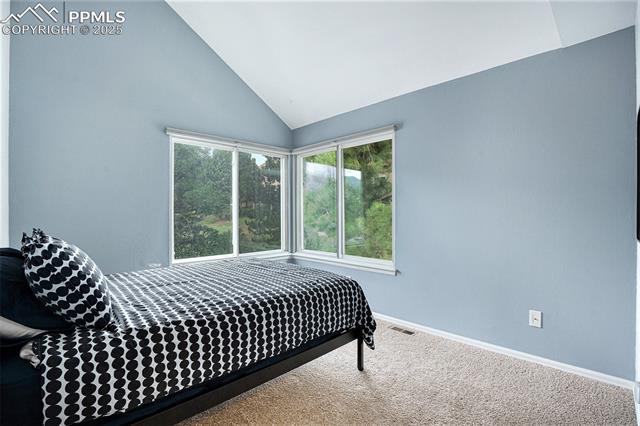 2044 Bristlecone Drive