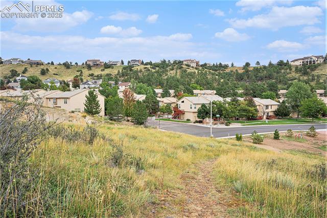 2044 Bristlecone Drive