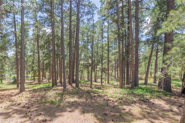 115 E Kings Deer Point