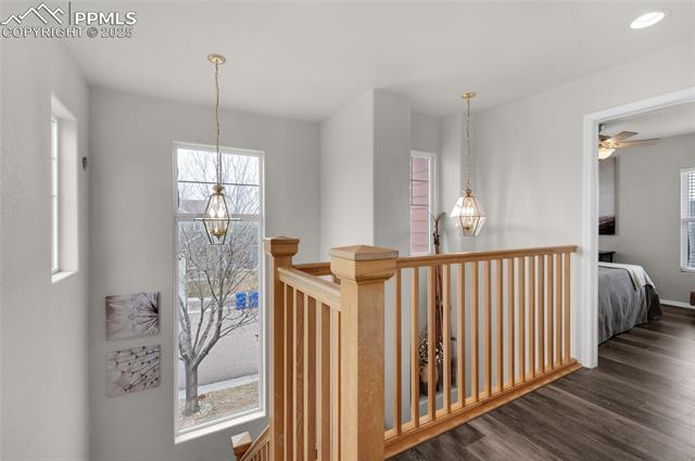 6446 Sunny Meadow Street