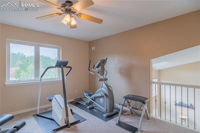 7360 Winding Oaks Drive